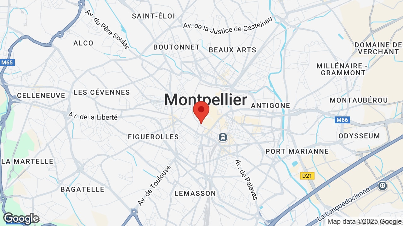 Google map