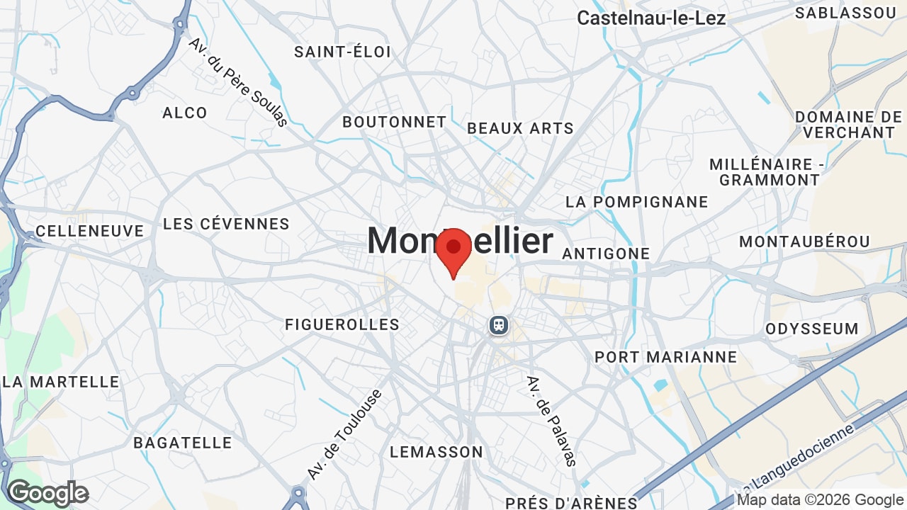 Google map
