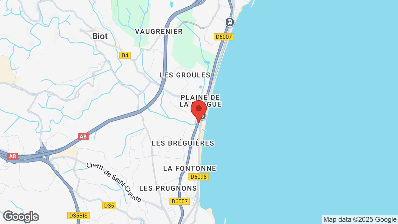 Google map