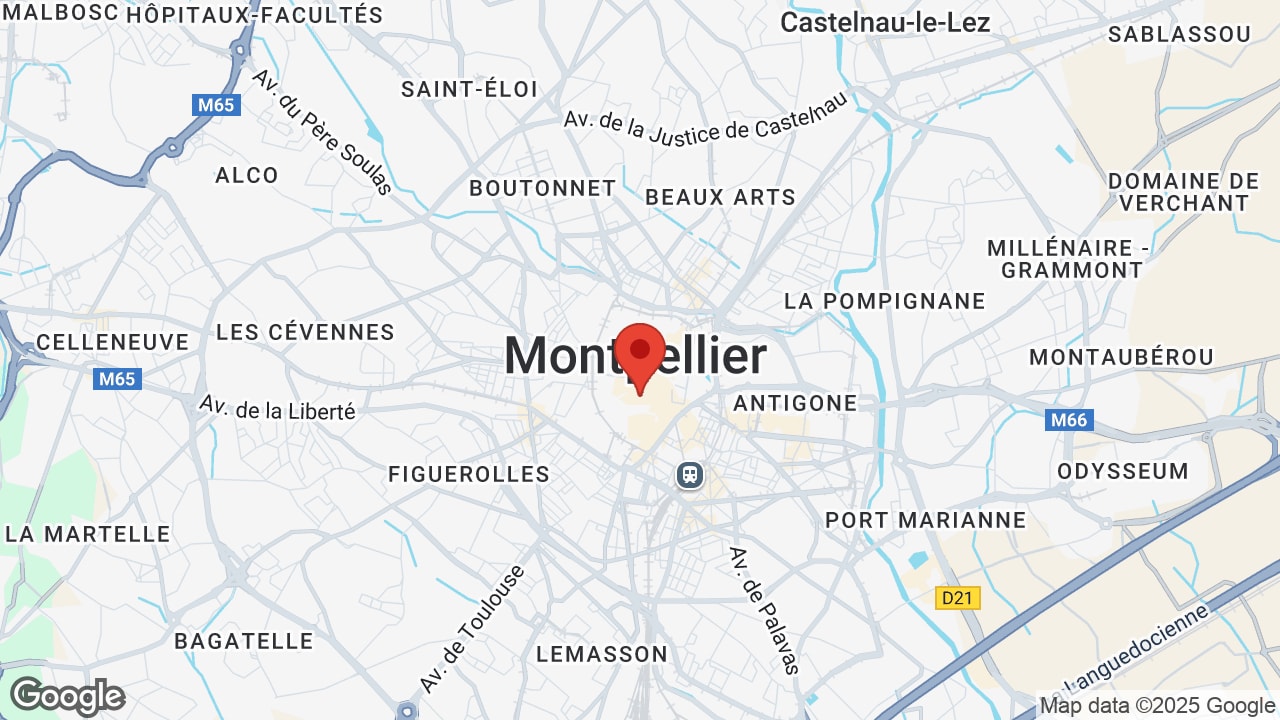 Google map
