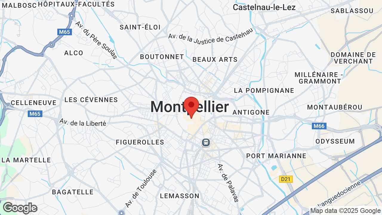 Google map