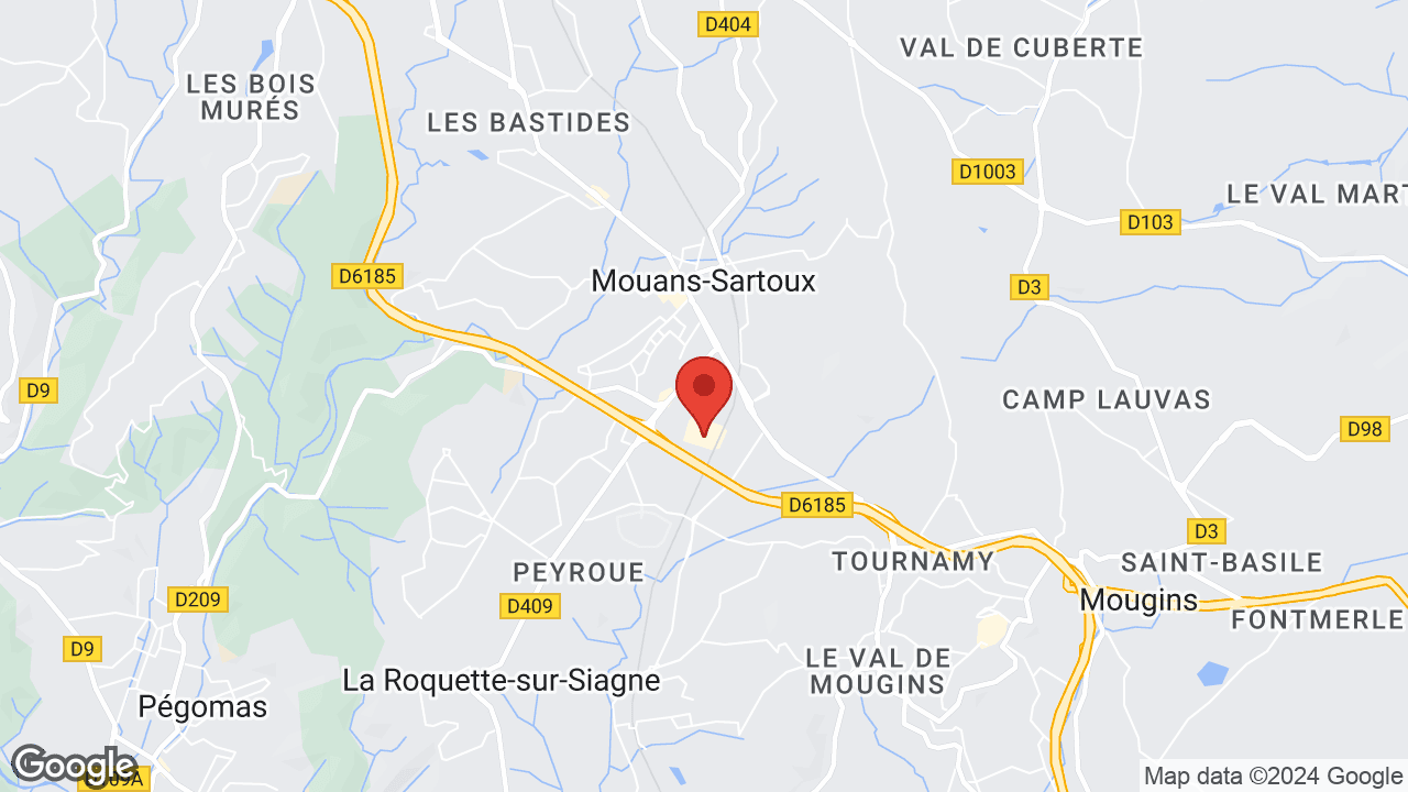 Google map