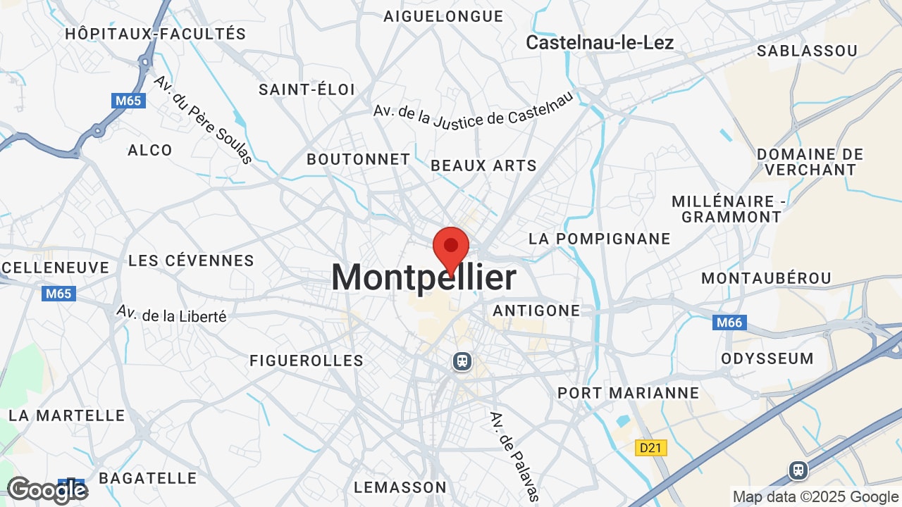 Google map