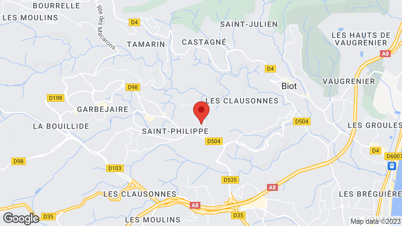 Google map