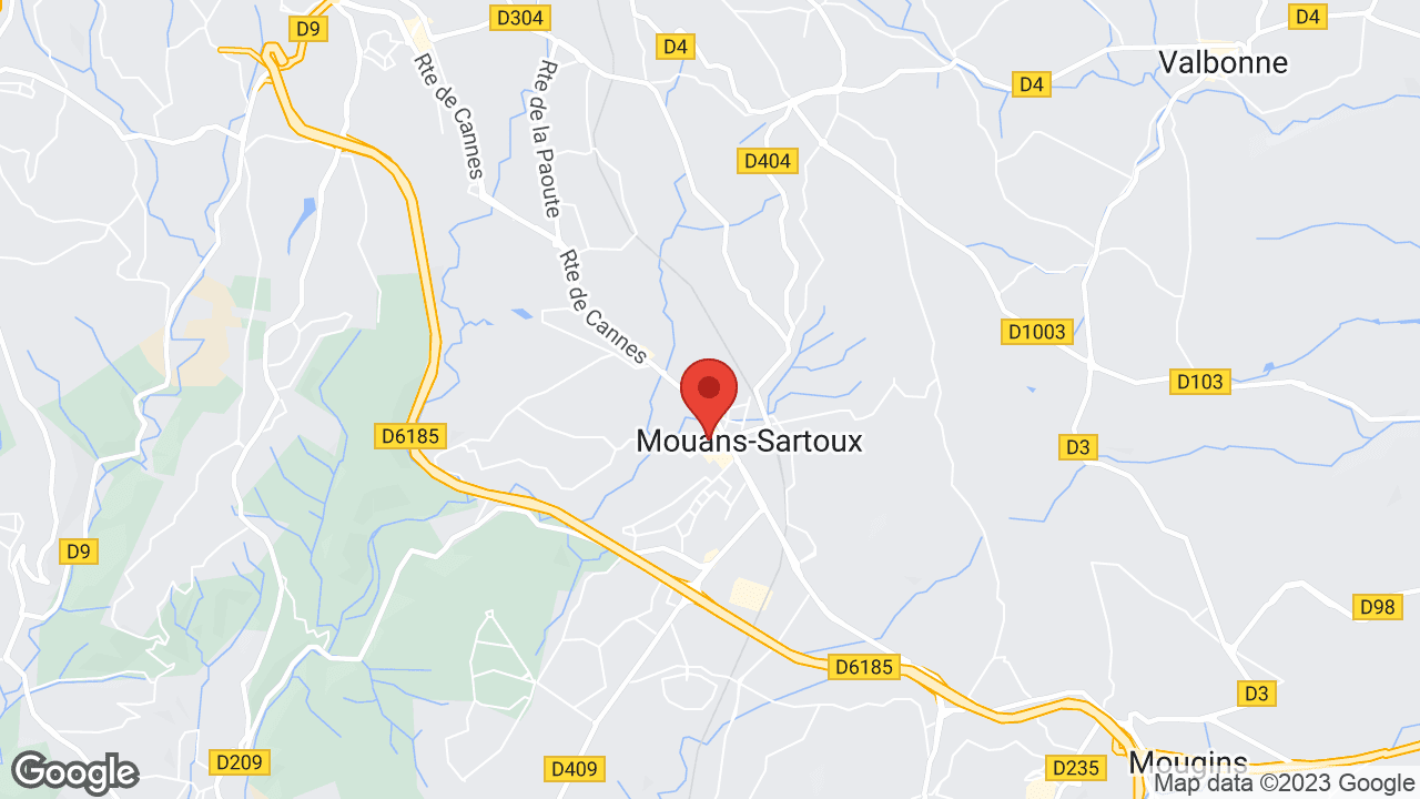 Google map