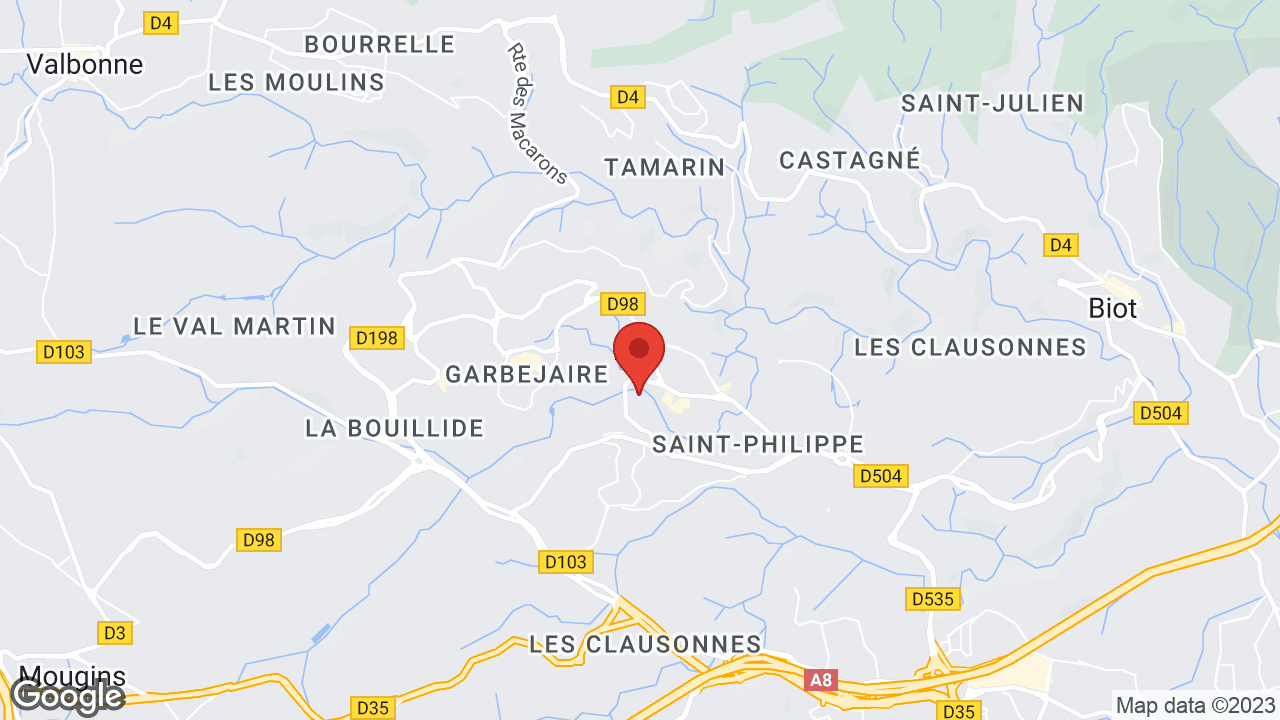 Google map