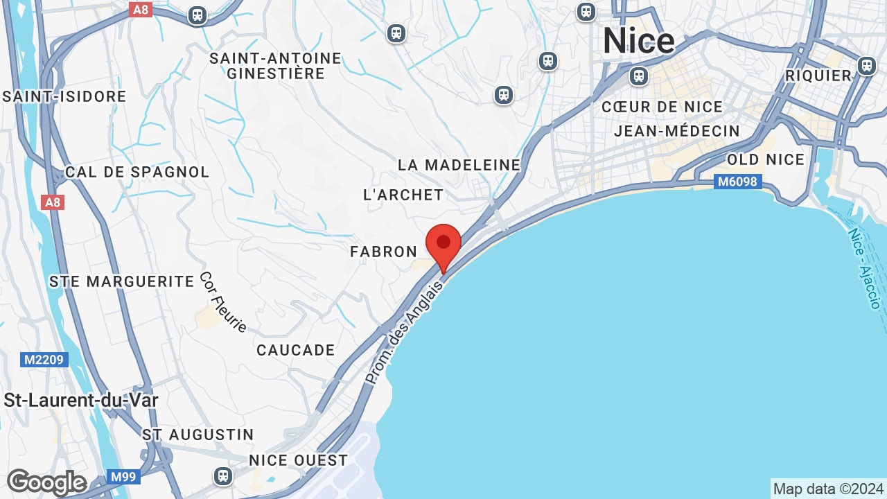 Google map