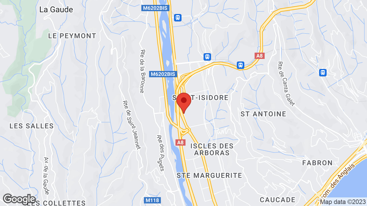 Google map