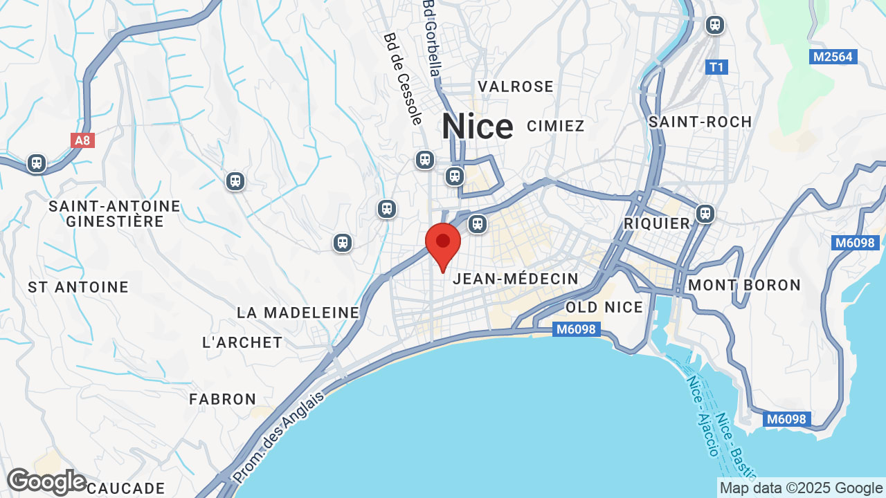 Google map