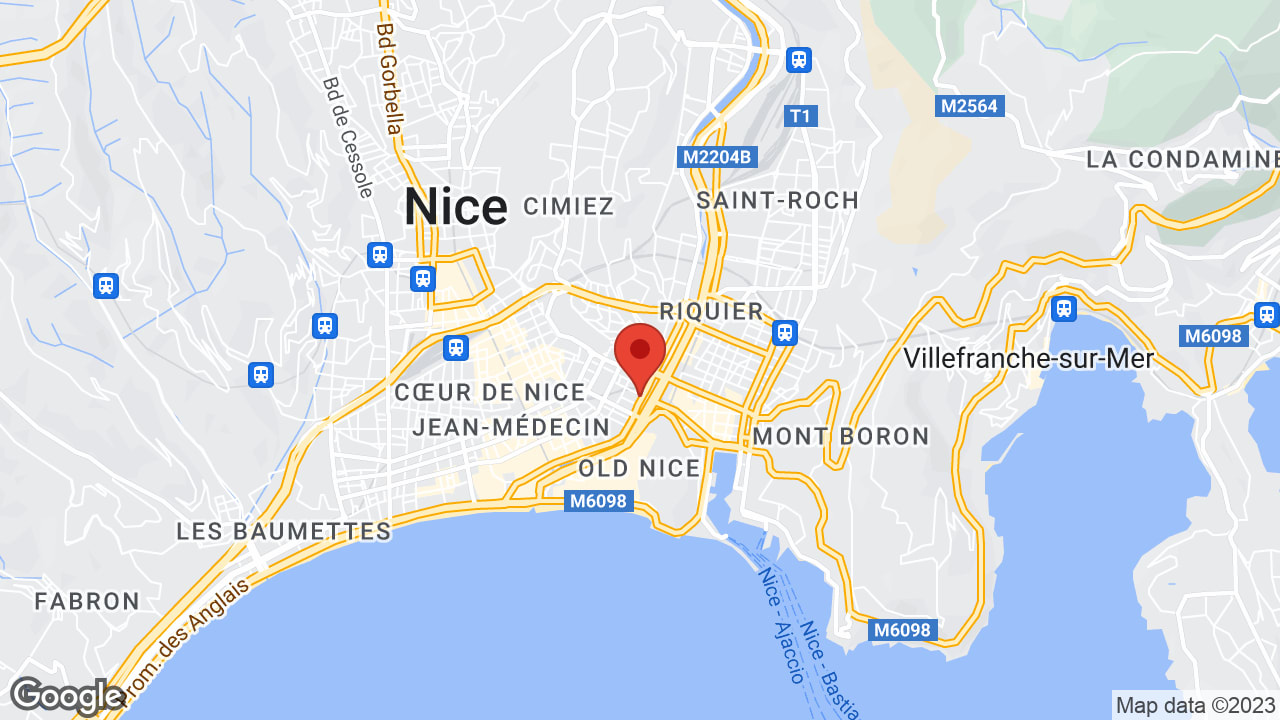 Google map