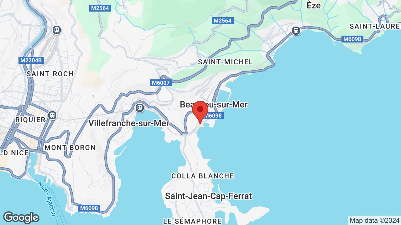 Google map
