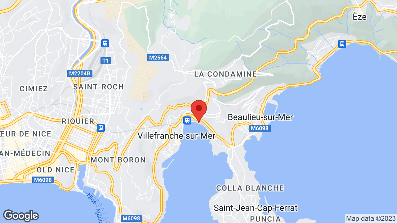Google map