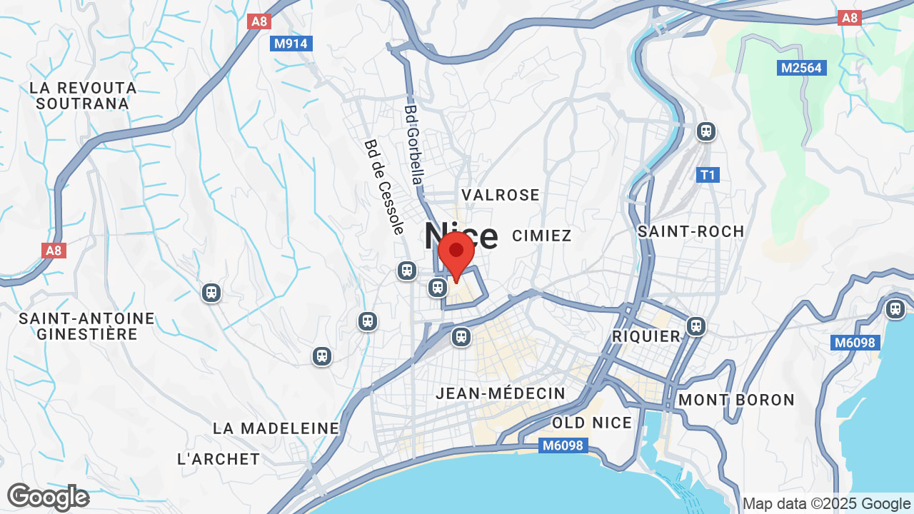 Google map