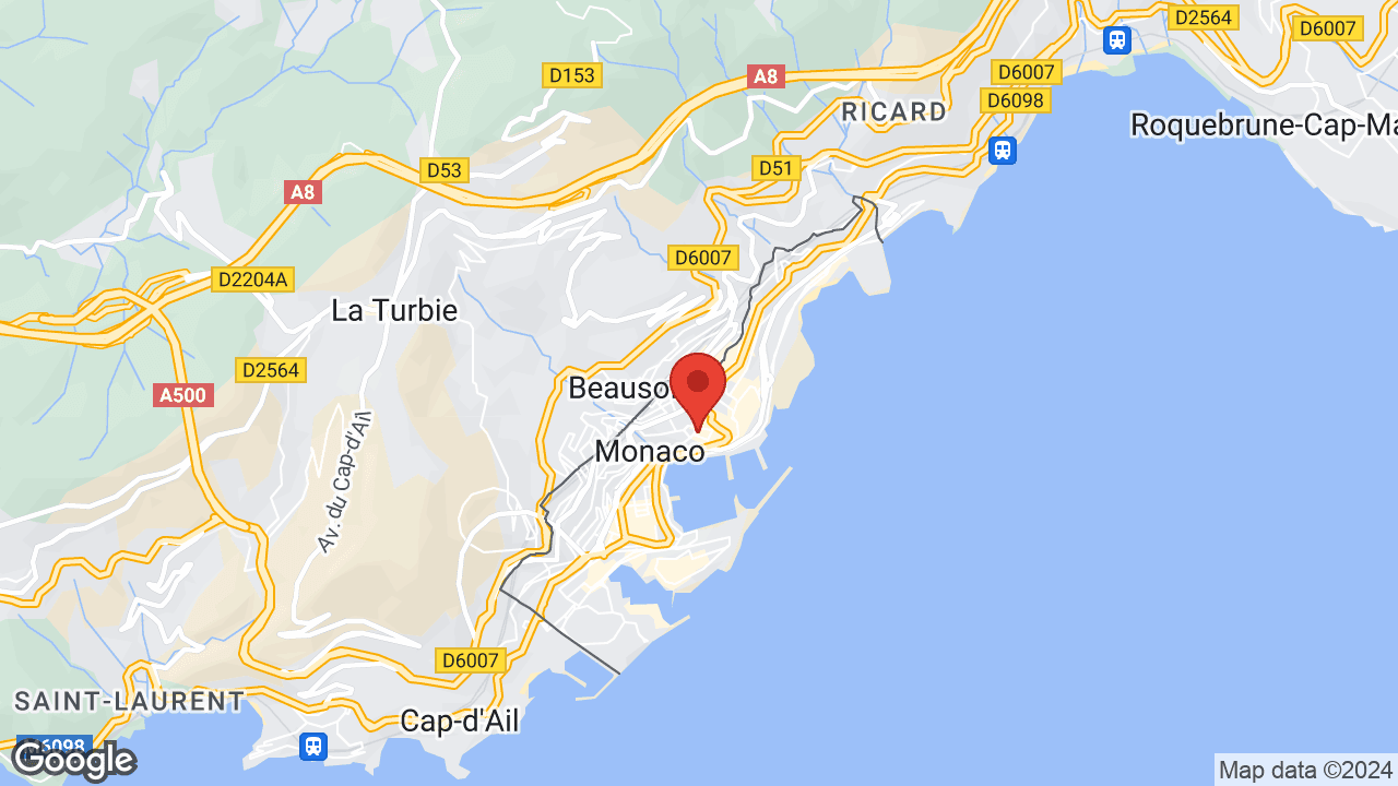 Google map