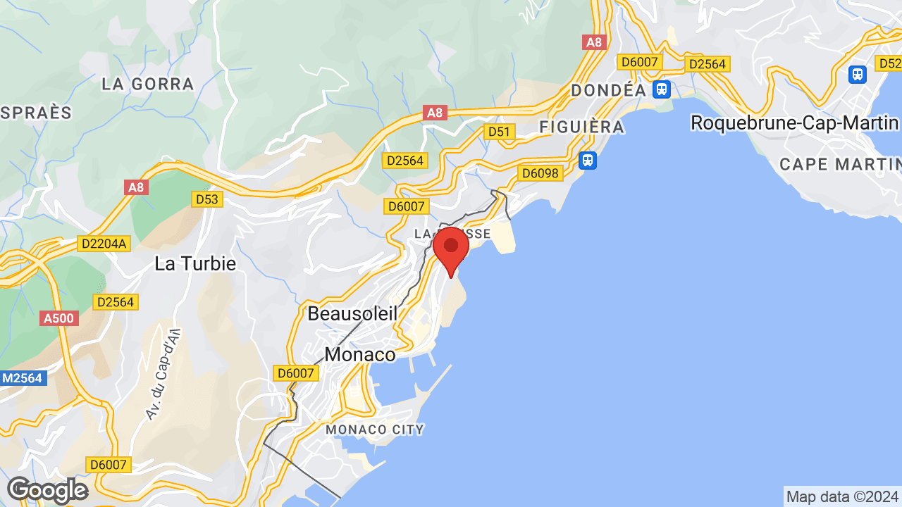 Google map
