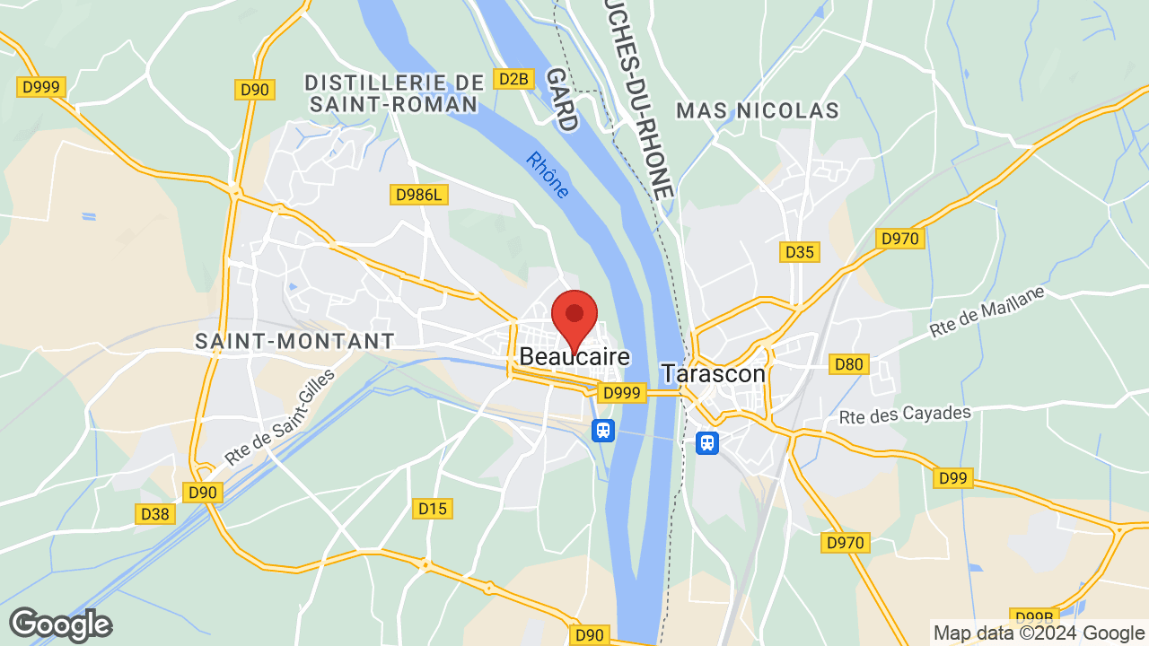 Google map