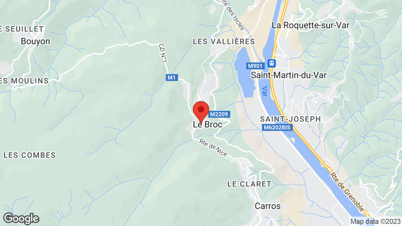 Google map