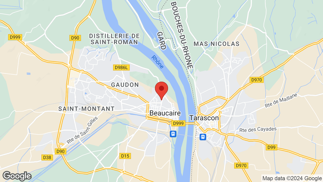 Google map