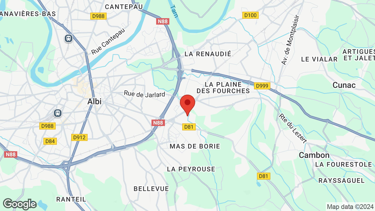 Google map