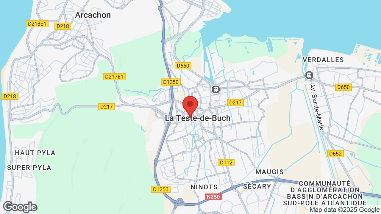Google map