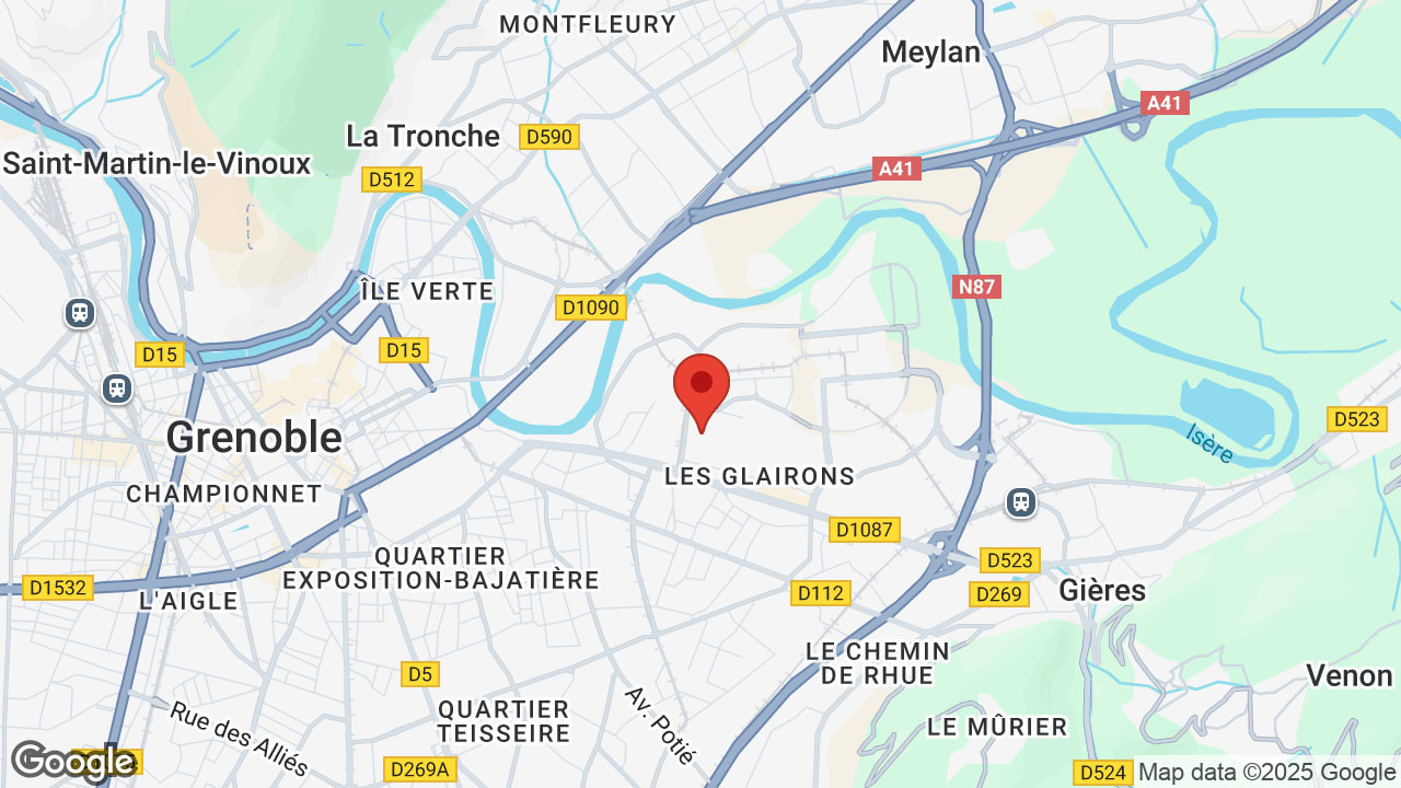Google map