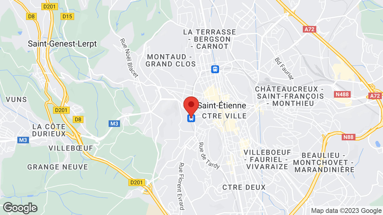 Google map