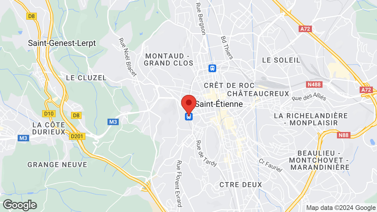 Google map