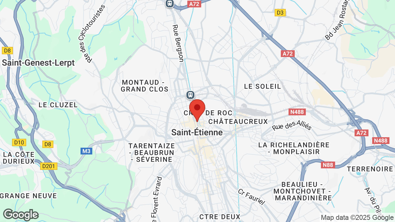 Google map