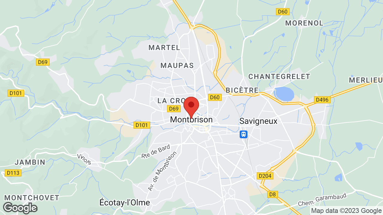 Google map