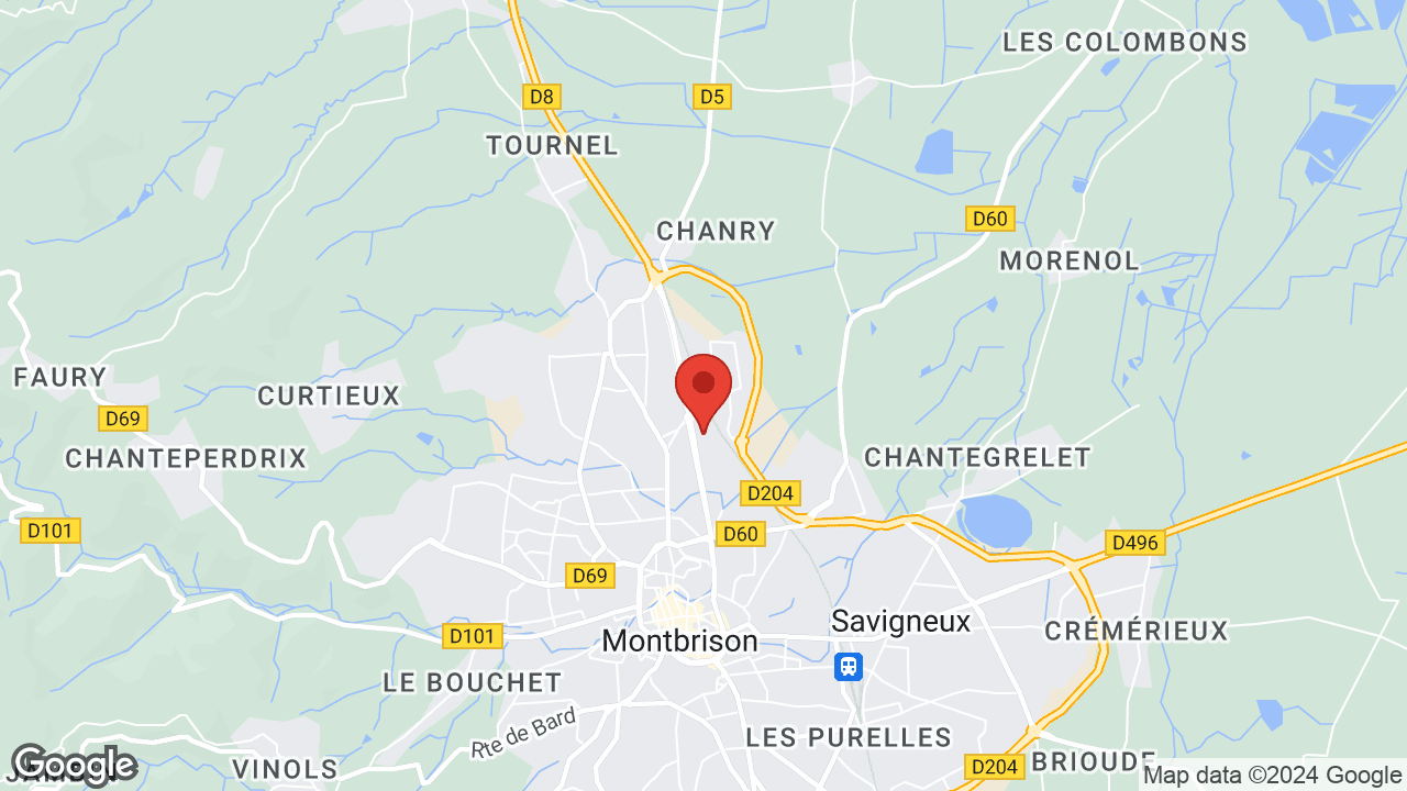 Google map