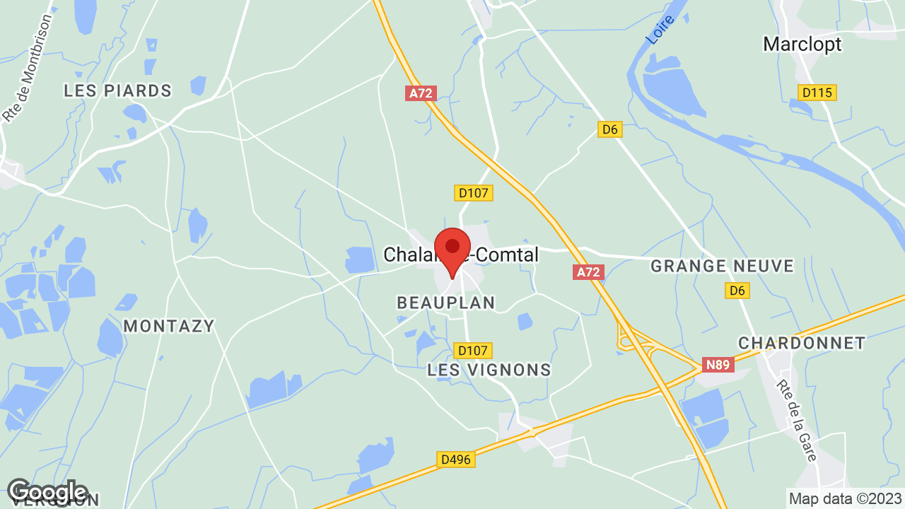 Google map