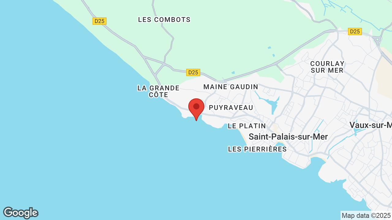 Google map