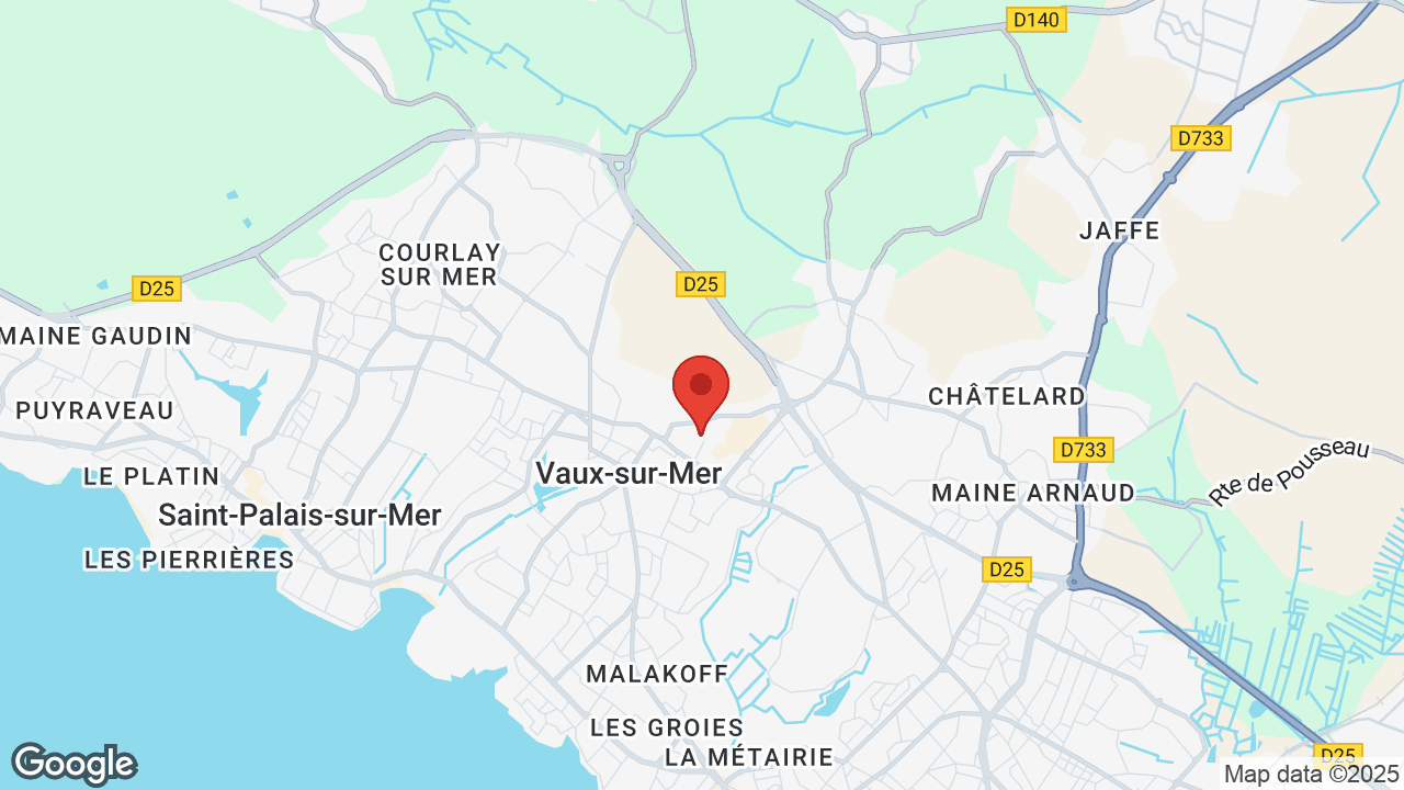 Google map