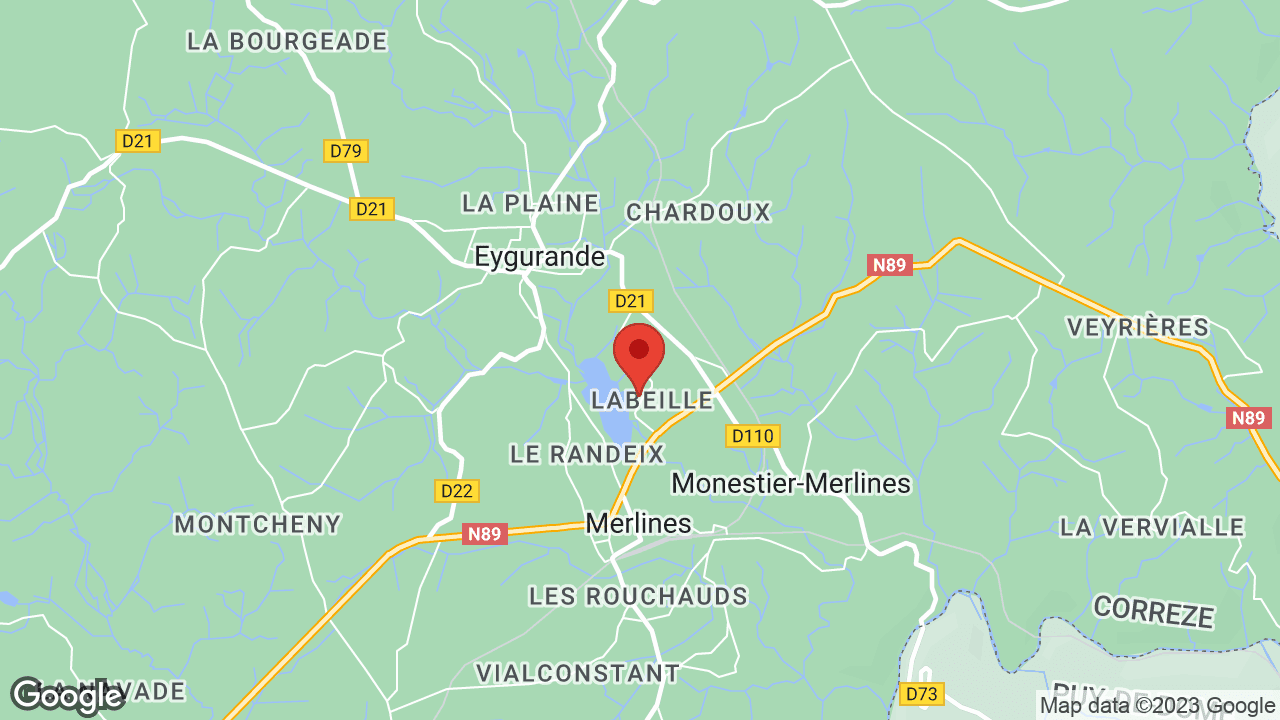 Google map