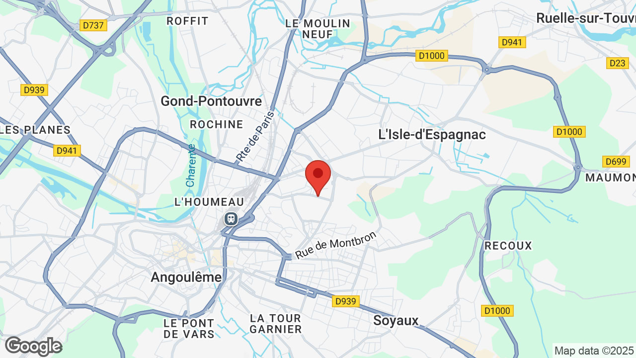 Google map