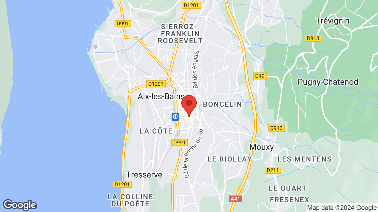 Google map