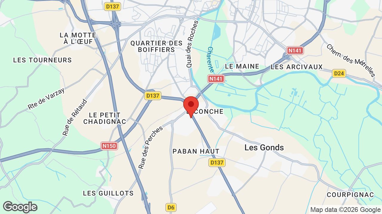 Google map