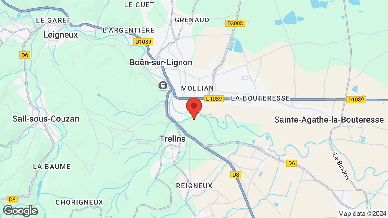 Google map