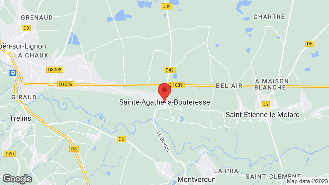 Google map