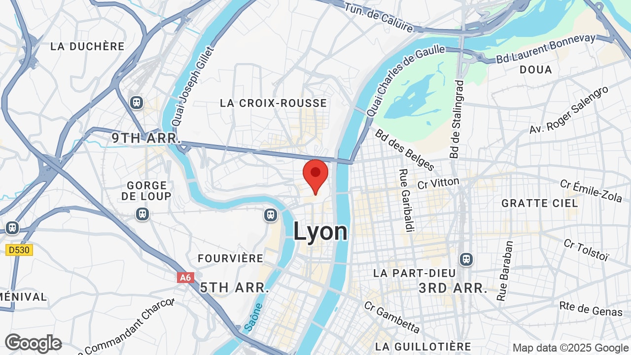 Google map