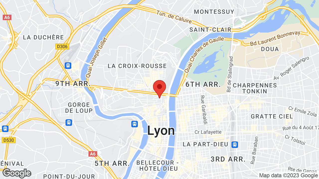 Google map