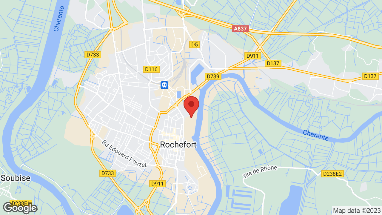 Google map