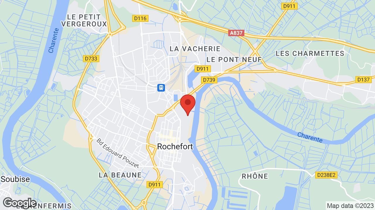 Google map