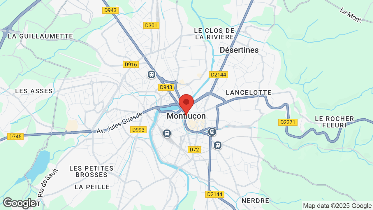 Google map