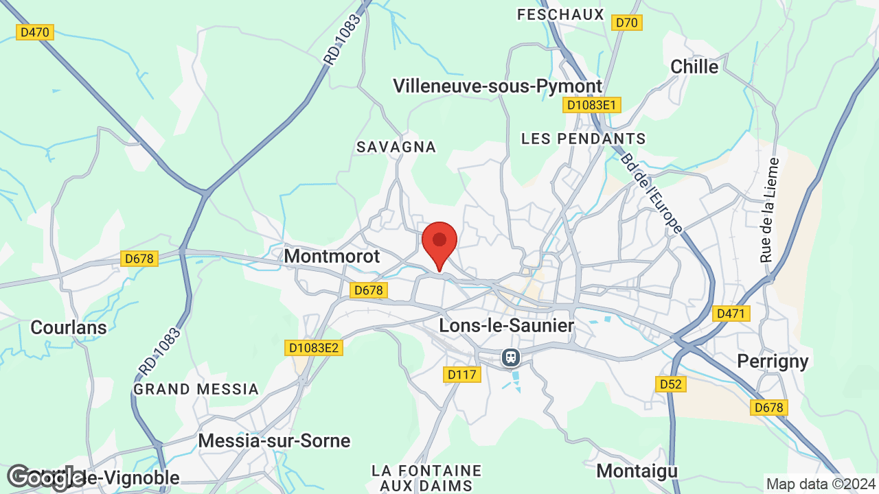 Google map