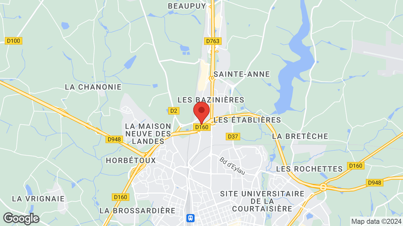 Google map