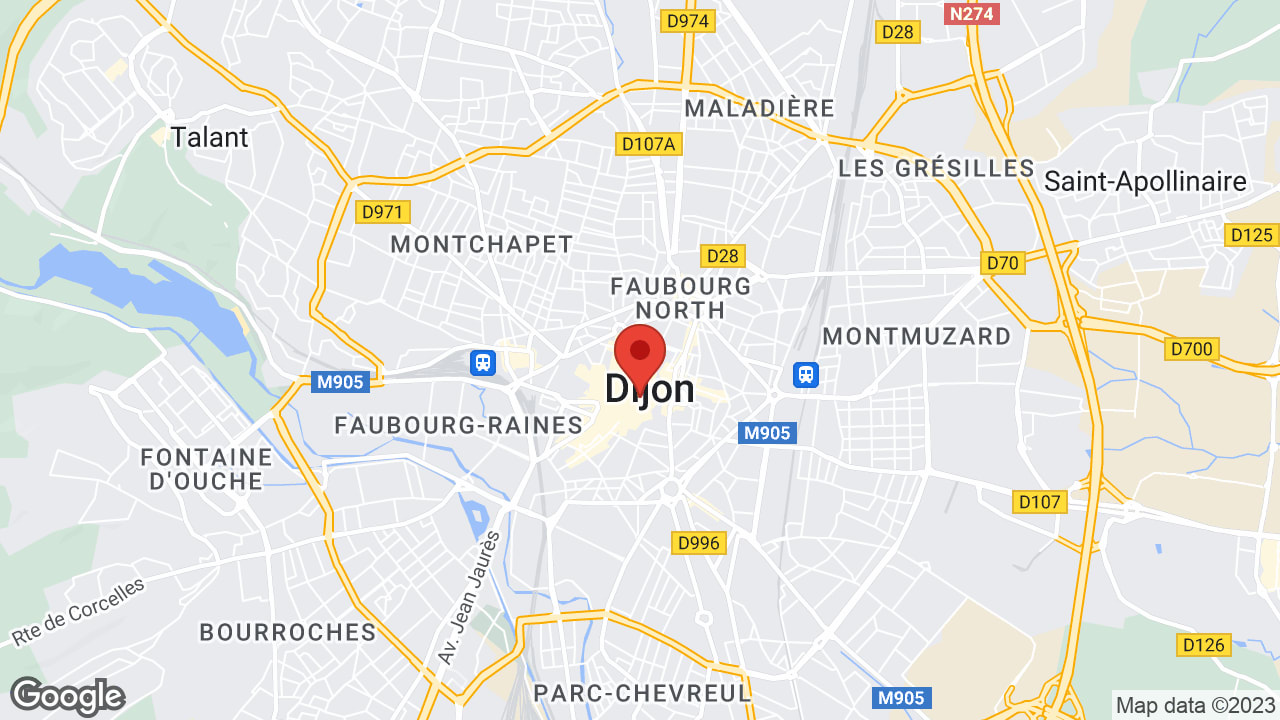Google map