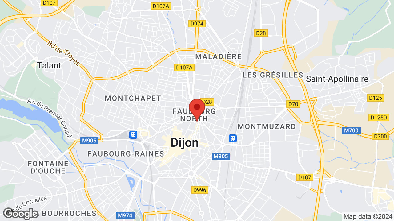 Google map