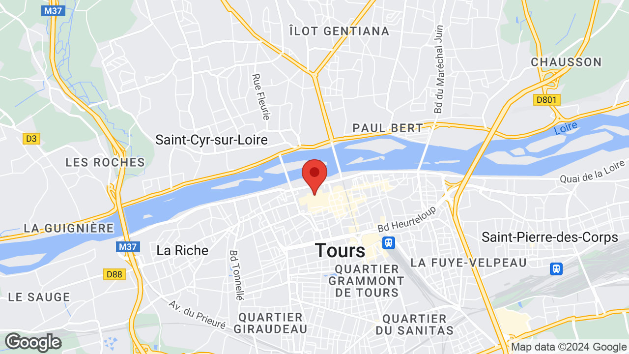 Google map