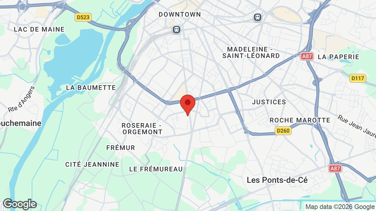 Google map